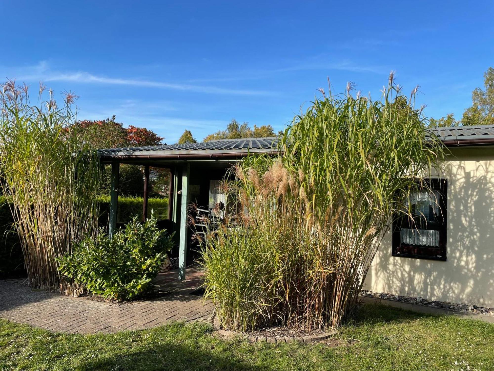 Holiday Home Am Walde-1 By Interhome Dobbertin 외부 사진